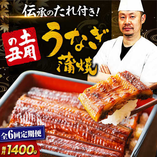 うなぎ 定期便【6ヶ月】（10尾）うなぎ 鰻[AGAH026]