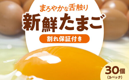 卵 平飼い（3パック）卵 30個[AGDQ001]