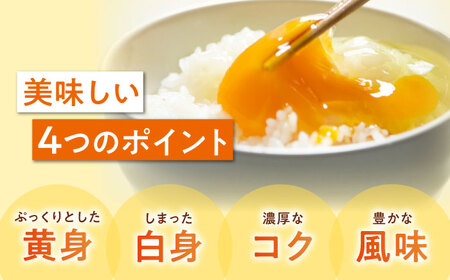 卵 定期便【12ケ月】（3パック）たまご 30個[AGDQ007]