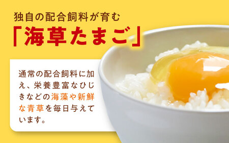 卵 定期便【12ケ月】（3パック）たまご 30個[AGDQ007]