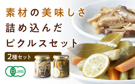 ピクルス セット（2個）ピクルス[AGAA014]