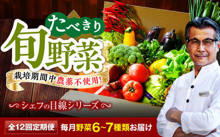 野菜 定期便 12回（6-7種）少量 野菜セット[AGBX046]