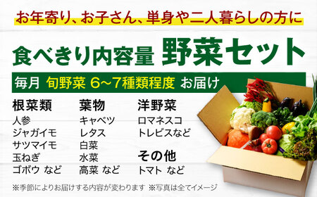 野菜 定期便 12回（6-7種）少量 野菜セット[AGBX046]