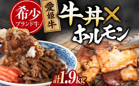 【冷凍】 牛丼×6食とミックスホルモン×1,000g 計1,9kg [AGCC073] 総菜 人気