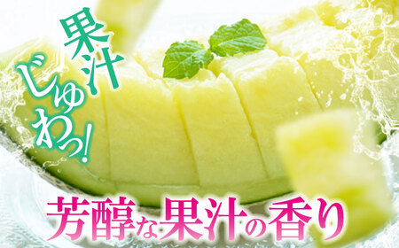 メロン【2026年6月中旬から順次発送】 メロン タカミ 2から3玉 メロン[AGCX004]