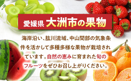 メロン【2026年6月中旬から順次発送】 メロン タカミ 2から3玉 メロン[AGCX004]