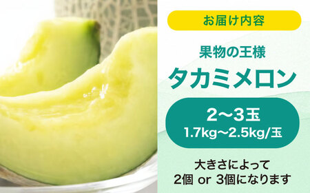 メロン【2026年6月中旬から順次発送】 メロン タカミ 2から3玉 メロン[AGCX004]