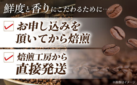 【年内発送】コーヒー粉 ブルーマウンテンブレンド 1kg （500g×2袋）コーヒー[AGCU008-2]