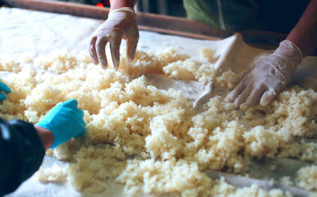 手作りあまざけ 15本セット 甘酒 あまざけ 発酵食品 健康 /梶田商店[AGBB014]