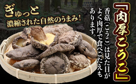 【数量限定】ぎゅっと濃縮された自然のうまみ！原木乾しいたけ（香こ)150g  椎茸 干ししいたけ 野菜 愛媛県大洲市/大洲市森林組合[AGBK001] 椎茸 干ししいたけ 野菜