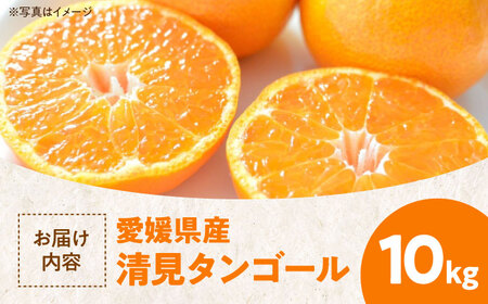 みかん【2026年3月下旬から順次発送】清見タンゴール 10kg みかん[AGAW006]