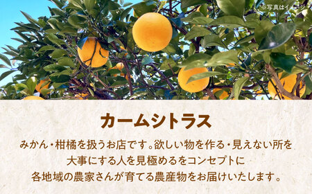 柑橘のおいしさをギュッとお届け！柑橘王国愛媛産温州みかんジュース1L×６本セット　愛媛県大洲市/有限会社カーム/カームシトラス[AGBW006]愛媛みかんジュース温州みかんミカン愛媛みかんジュース温州みかんミカン愛媛みかんジュース温州みかんミカン愛媛みかんジュース温州みかんミカン愛媛みかんジュース温州みかんミカン愛媛みかんジュース温州みかんミカン愛媛みかんジュース温州みかんミカン愛媛みかんジュース温州みかんミカン愛媛みかんジュース温州みかんミカン愛媛みかんジュース温州みかんミカン愛媛みかんジュース温州みかんミカン愛媛みかんジュース温州みかんミカン愛媛みかんジュース温州みかんミカン愛媛みかんジュース温州みかんミカン愛媛みかんジュース温州みかんミカン