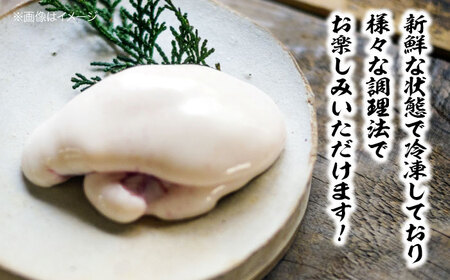 白子 とらふぐ（約200g） 【冷凍】【12月中旬から順次配送】白子[AGBP002]