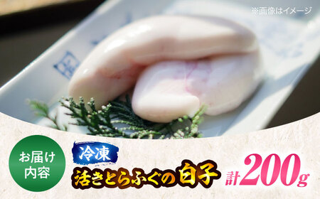 白子 とらふぐ（約200g） 【冷凍】【12月中旬から順次配送】白子[AGBP002]