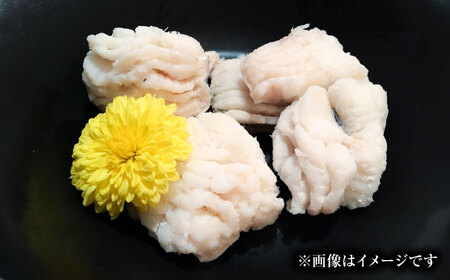 ハモの骨切り 2人前（約500g）【2026年5月上旬から順次発送】ハモ 鱧 湯引き [AGBP006]