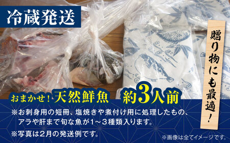 魚介 おまかせセット （3人前）鮮魚 魚介 [AGBP008]