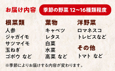 【シェフの目線】栽培期間中農薬不使用！大満足 愛媛県大洲市/有限会社ヒロファミリーフーズ[AGBX003] 野菜セット 詰め合わせ 旬野菜