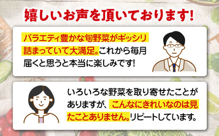 【シェフの目線】栽培期間中農薬不使用！大満足 愛媛県大洲市/有限会社ヒロファミリーフーズ[AGBX003] 野菜セット 詰め合わせ 旬野菜