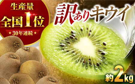 訳アリ キウイフルーツ 約2kg [AGBN051]