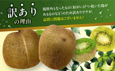 訳アリ キウイフルーツ 約2kg [AGBN051]