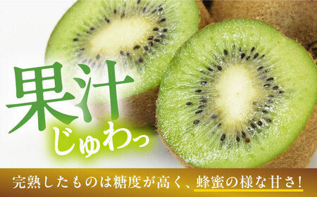 訳アリ キウイフルーツ 約2kg [AGBN051]