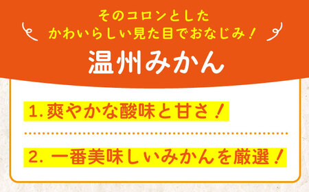 温州みかん 5kg いのうえ果樹園[AGBV003] みかんみかんみかんみかんみかんみかんみかん