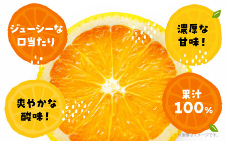 みかんジュース（ストレート）1L×4本 みかんジュース[AGBV001]