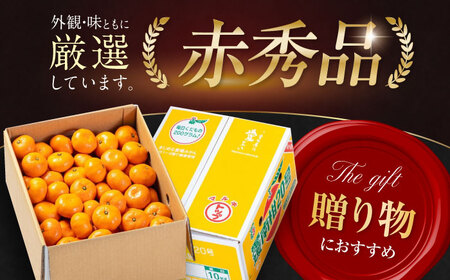 みかん 10kg（南柑20号）【12月上旬から順次発送】みかん[AGAO007]