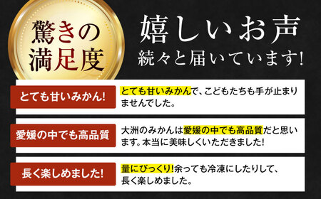 みかん 10kg（南柑20号）【12月上旬から順次発送】みかん[AGAO007]