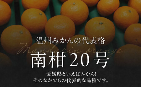 みかん 10kg（南柑20号）【12月上旬から順次発送】みかん[AGAO007]