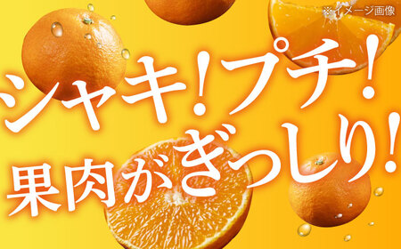 【2月順次発送】甘平 3kg（ 2L〜3L）[AGAO010]甘平甘平甘平甘平甘平