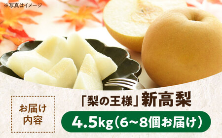 梨（新高） 4.5kg【10月上旬から発送】梨 特大[AGBD002]