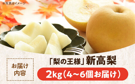 梨 2kg（新高）【10月上旬から発送】梨 特大[AGBD001]