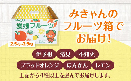 柑橘【3月上旬発送】柑橘おまかせセット[AGBN053]