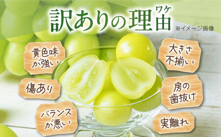 シャインマスカット 訳あり 約2kg シャインマスカット [AGBN056]