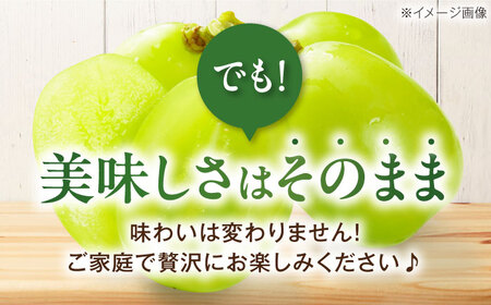 シャインマスカット 訳あり 約2kg シャインマスカット [AGBN056]