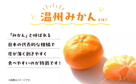 温州みかんジュース（720ml×12本）みかんジュース[AGBT024]