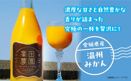 温州みかんジュース（720ml×12本）みかんジュース[AGBT024]