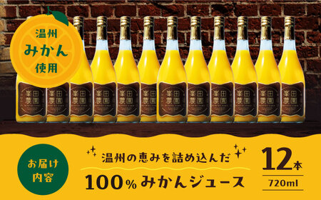温州みかんジュース（720ml×12本）みかんジュース[AGBT024]