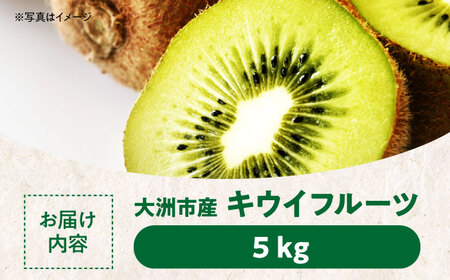 【11月以降順次発送】生産量日本一！家族で毎日食べられる！キウイフルーツ 約5kg  キウイ キウイフルーツ 果物 フルーツ くだもの 愛媛県産キウイ愛媛県大洲市/沢井青果有限会社果物 [AGBN002] キウイ キウイフルーツ 果物 フルーツ くだもの 愛媛県産キウイ