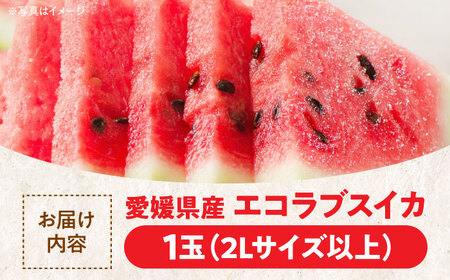 【先行予約】【6月上旬より順次発送】エコラブスイカ（2Lサイズ以上）1玉 スイカ 大玉  [AGBN009]