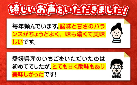 【先行予約】【2025年1月初旬より順次発送】ほっぺが落ちるおいしさ！紅ほっぺ（Mから3L）×8パック 約2000g　愛媛県大洲市/沢井青果有限会社 [AGBN027]苺いちご果物苺いちご果物苺いちご果物苺いちご果物苺いちご果物苺いちご果物苺いちご果物苺いちご果物苺いちご果物苺いちご果物苺いちご果物苺いちご果物苺いちご果物苺いちご果物苺いちご果物苺いちご果物苺いちご果物苺いちご果物苺いちご果物苺いちご果物苺いちご果物苺いちご果物苺いちご果物苺いちご果物苺いちご果物苺いちご果物苺いちご果物苺いちご果物苺いちご果物苺いちご果物苺いちご果物苺いちご果物苺いちご果物苺いちご果物苺いちご果物苺いちご果物苺いちご果物苺いちご果物苺いちご果物苺いちご果物苺いちご果物苺いちご果物苺いちご果物苺いちご果物苺いちご果物