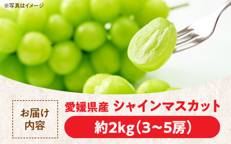 先行予約】【9月上旬より順次発送】ご家庭用 シャインマスカット 先行予約】【9月上旬より順次発送】ご家庭用 シャインマスカット