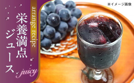 【2026年8月下旬より順次発送】種無しピオーネ2kg（3から5房）ピオーネ [AGBN014]