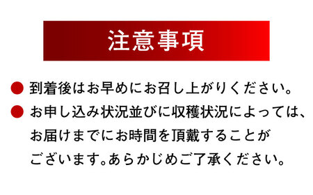 【2026年8月下旬より順次発送】種無しピオーネ2kg（3から5房）ピオーネ [AGBN014]