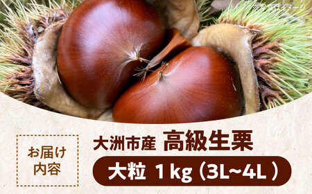 栗 【2026年9月下旬から順次発送】高級生栗 1kg[AGAE007]