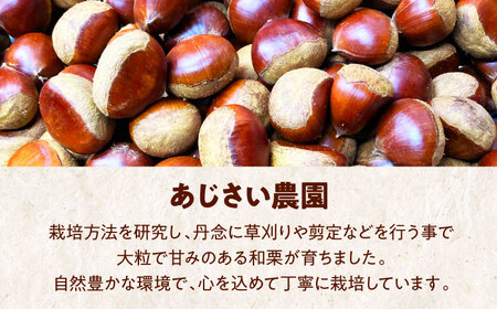 栗 【2026年9月下旬から順次発送】高級生栗 1kg[AGAE007]