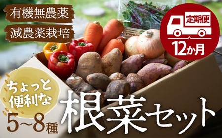【全12回】根菜×旬野菜 定期便 [AGBX014] 定期便 12回