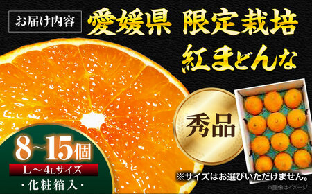 樹になるゼリー！？「紅まどんな」8個から12個入（JA愛媛たいき管内産）　愛媛県大洲市/株式会社フジ・アグリフーズ[AGBA001]みかんミカン果物みかんミカン果物みかんミカン果物みかんミカン果物みかんミカン果物みかんミカン果物みかんミカン果物みかんミカン果物みかんミカン果物みかんミカン果物みかんミカン果物みかんミカン果物みかんミカン果物みかんミカン果物みかんミカン果物みかんミカン果物みかんミカン果物みかんミカン果物みかんミカン果物みかんミカン果物みかんミカン果物みかんミカン果物みかんミカン果物みかんミカン果物みかんミカン果物みかんミカン果物みかんミカン果物みかんミカン果物みかんミカン果物みかんミカン果物みかんミカン果物みかんミカン果物みかんミカン果物みかんミカン果物みかんミカン果物みかんミカン果物