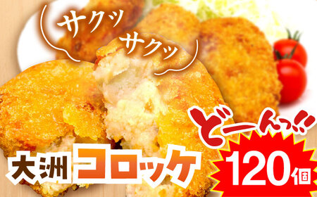 コロッケ 冷凍 大洲コロッケ 120個 コロッケ[AGCP402]